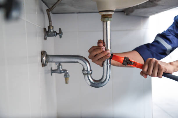 Best Toilet Repair Services  in Denmark, SC